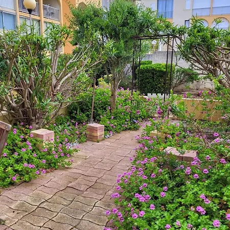 Jardin Piscine Proche De La דירה