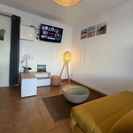 Jardin Piscine Proche De La Appartement *