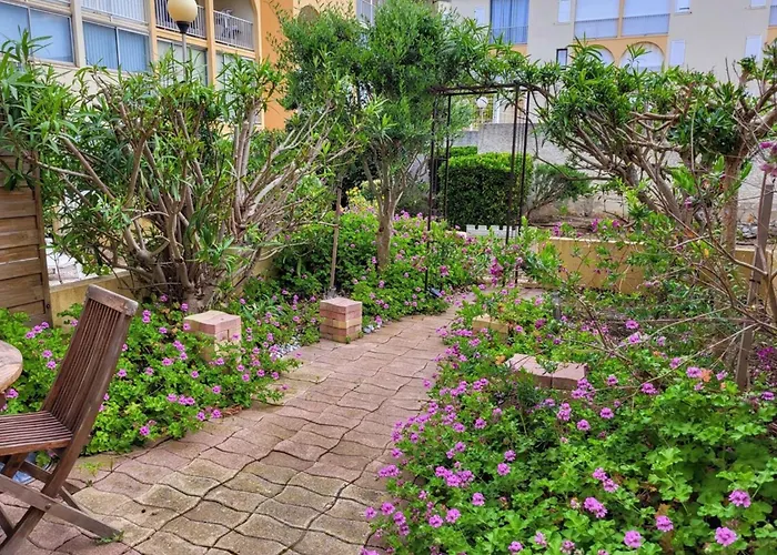 Jardin Piscine Proche De La Apartment